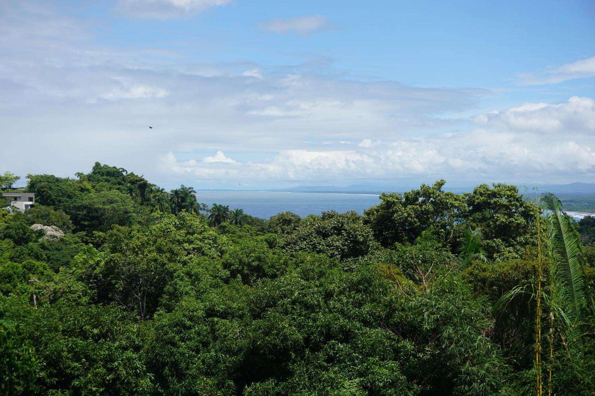 Hotel Planeta Sano Manuel Antonio Luaran gambar