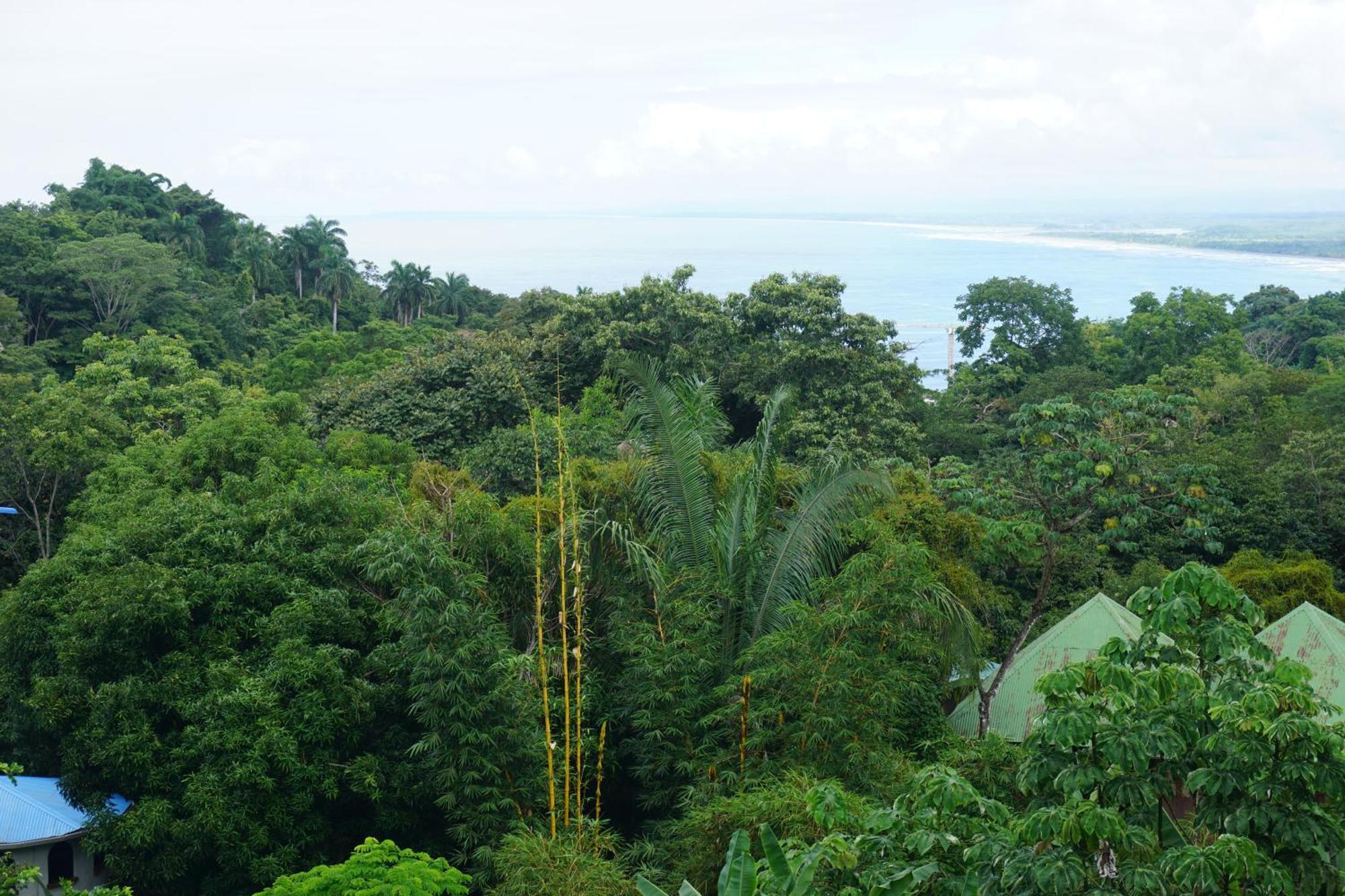 Hotel Planeta Sano Manuel Antonio Luaran gambar